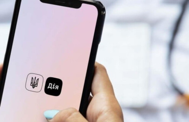 Как украинцы относятся к выборам в «Дії», – результаты опроса