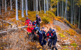 В лісі на Прикарпатті виявити тіло чоловіка, який напередодні пішов по гриби