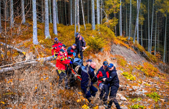 В лесу на Прикарпатье обнаружить тело мужчины, который накануне пошел за грибами