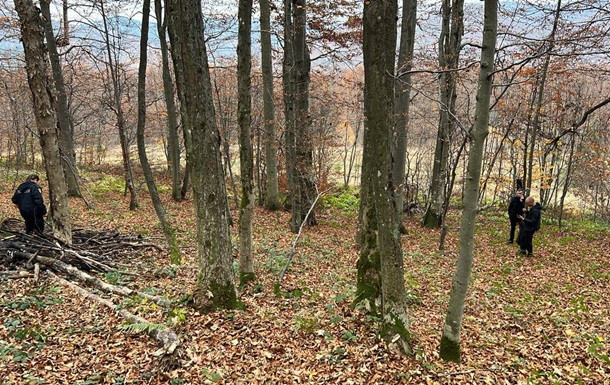 На Львовщине разыскивают браконьеров, убивших краснокнижных зубров