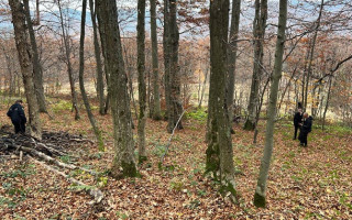 На Львовщине разыскивают браконьеров, убивших краснокнижных зубров