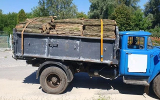 Українців, які зберігають вдома дрова без документів, можуть оштрафувати або відправити за ґрати