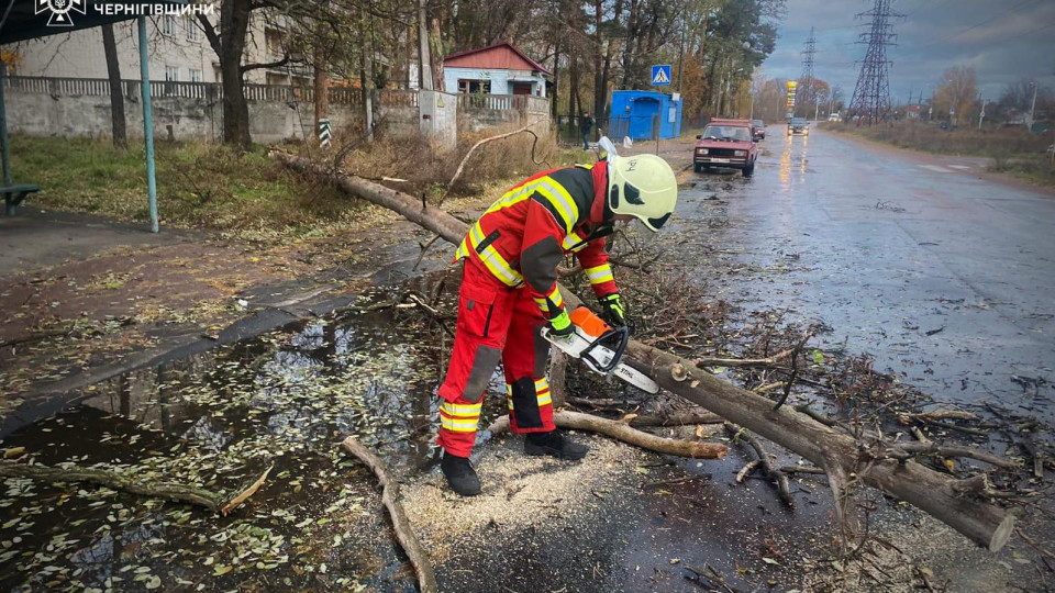 Повалені дерева на проїжджі частини – у ДСНС показали наслідки негоди в Україні, фото