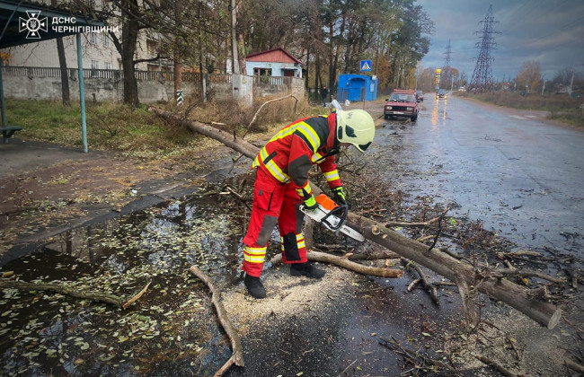 Повалені дерева на проїжджі частини – у ДСНС показали наслідки негоди в Україні, фото