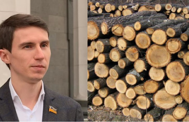 Закон про дрова спрямований проти чорних лісорубів, а не проти населення — автор законопроекту