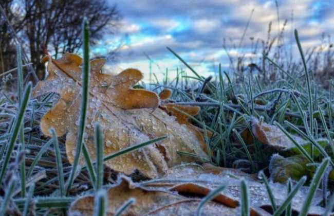 По всей Украине ожидаются умеренные морозы ночью, теплая погода днем