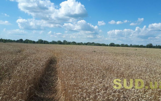 В Україні оновили процедуру державної інвентаризації земель