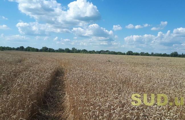 В Украине обновили процедуру государственной инвентаризации земель