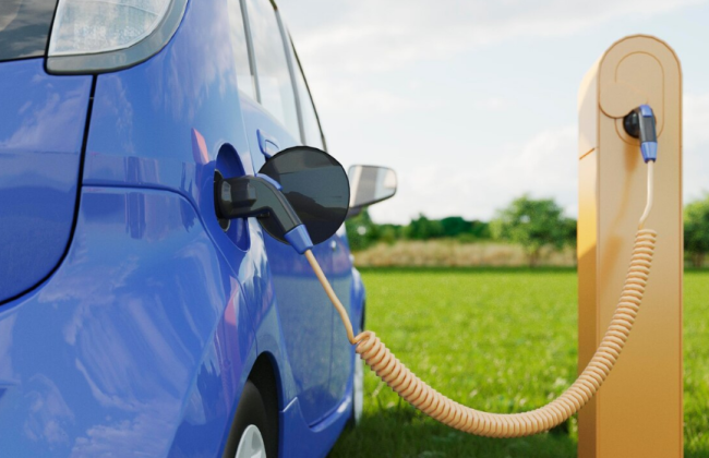 В Украине доля новых авто  в регистрациях BEV выросла, хотя октябрьский спрос на электроавтомобили снизился