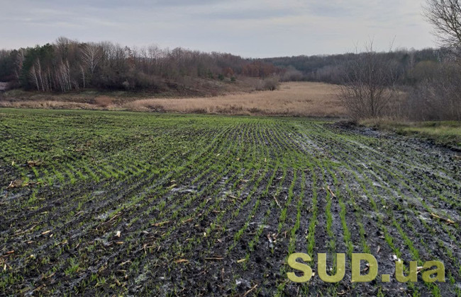 Суд конфіскував дві земельні ділянки у громадянина рф, які він успадкував