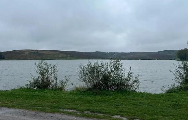 В государственную собственность возвращены земли в Ровенской области стоимостью более 1 млрд грн