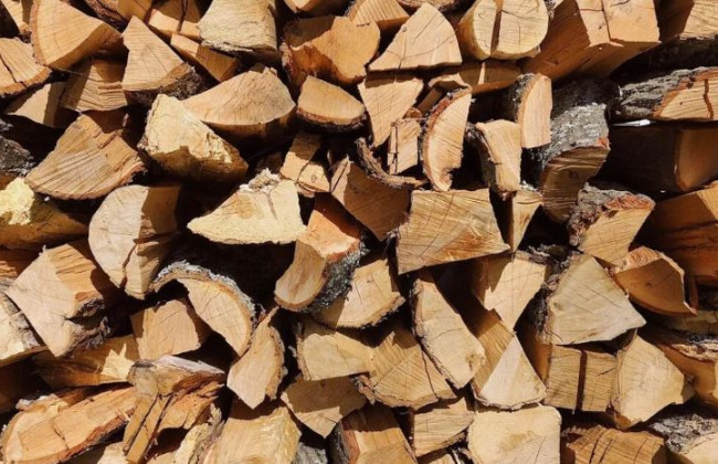 Помощь на приобретение дров – кто и при каких условиях имеет право на денежную выплату