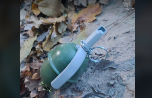 В Киеве женщина нашла гранату во время прогулки по парку, фото