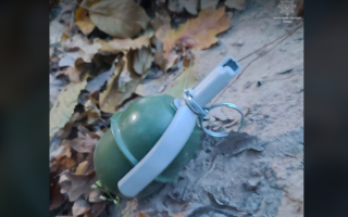 У Києві жінка знайшла гранату під час прогулянки парком, фото
