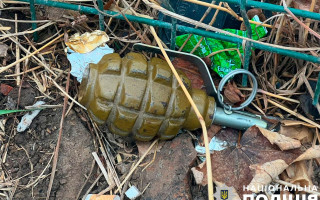 На Полтавщине прохожие нашли гранату на обочине дороги