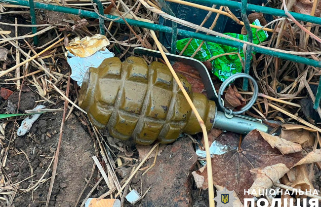 На Полтавщине прохожие нашли гранату на обочине дороги