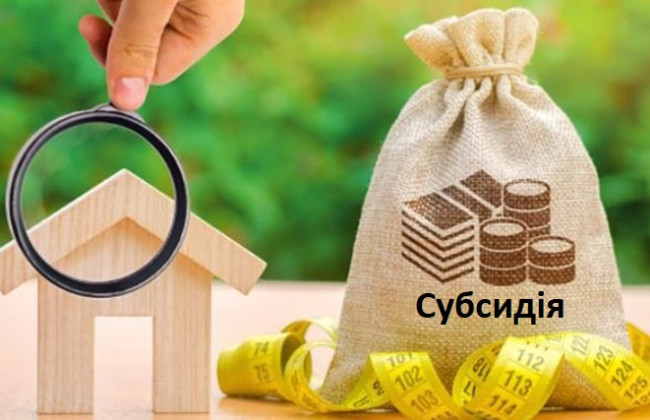 На какие услуги предоставляется субсидия — список