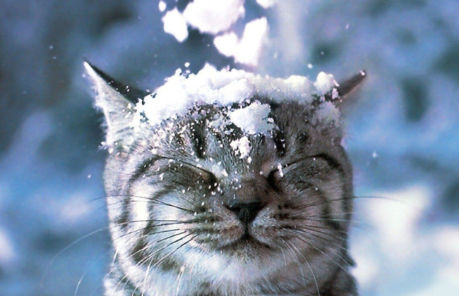 Украинцев 15 ноября ожидает мокрый снег и дождь, а на дорогах – гололедица