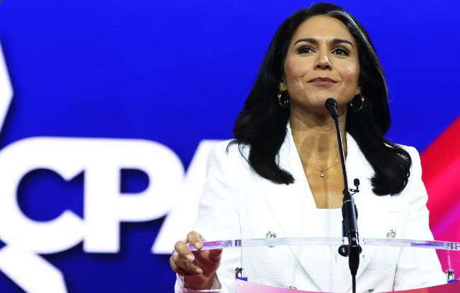 Дональд Трамп выдвинул Тулси Габбард на пост директора Национальной разведки США