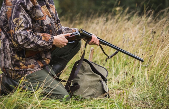 На Львовщине ищут злоумышленников, причастных к незаконному отстрелу кабанов