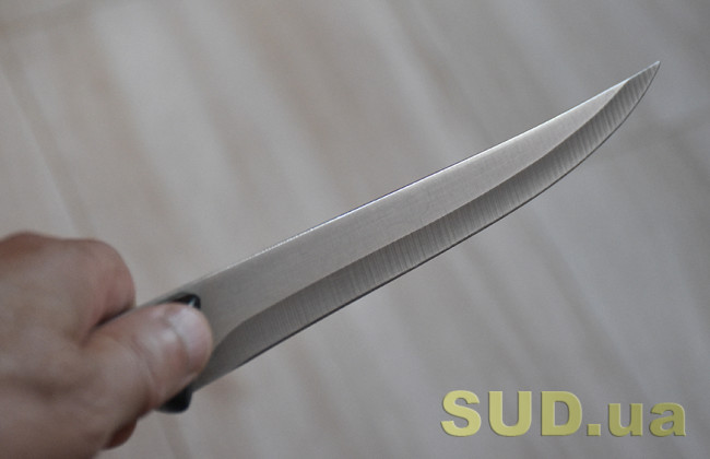 На Прикарпатье будут судить 19-летнего парня, который напал на своего отца с ножом