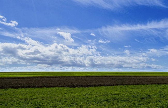 В Ровенской области почти 10 гектаров лесных земель вернули государству