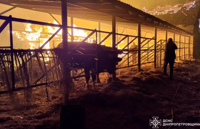 На Дніпропетровщині зайнялася пожежа на конефермі – загинули понад 140 свійських тварин