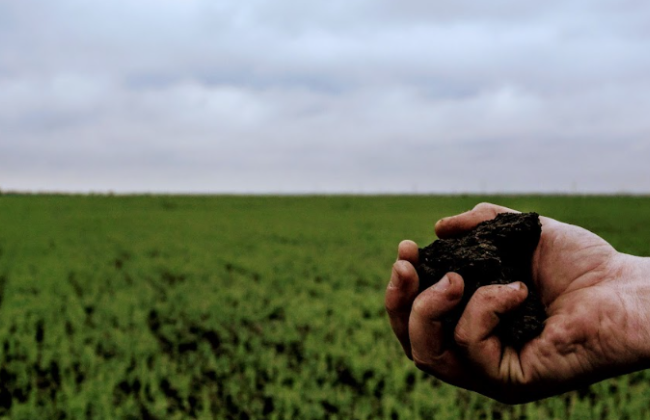 В Житомирской области суд обязал один из сельсоветов принять землю в коммунальную собственность