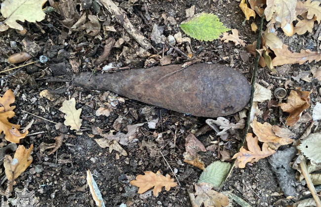 В Голосеевском районе Киева нашли мину