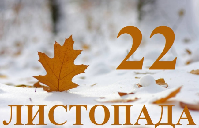 22 ноября – какой сегодня праздник и главные события