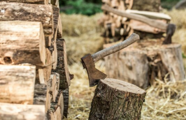 Українці можуть самостійно розрахувати розмір своєї субсидії на дрова: покрокова інструкція