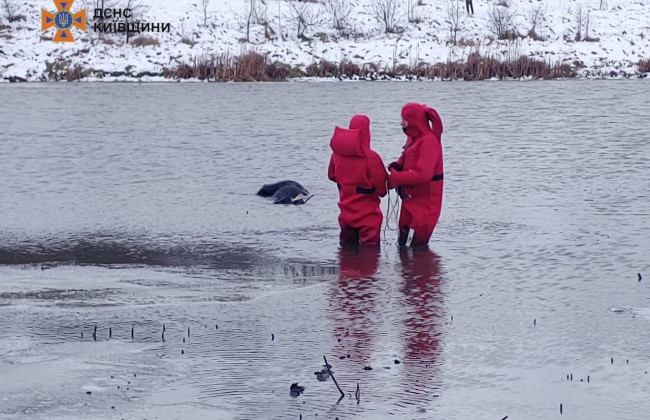 На Киевщине из пруда извлекли тело мужчины