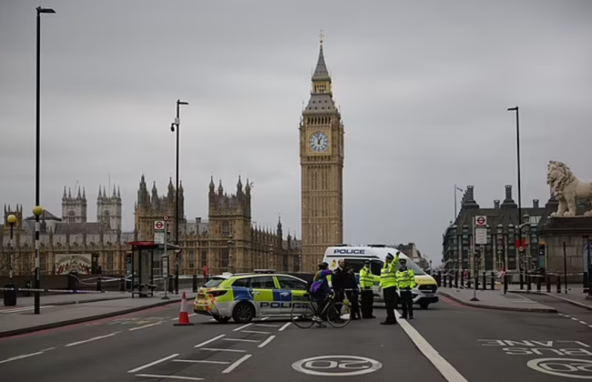 В Лондоне неизвестные напали на мужчину с ножом возле Вестминстерского дворца