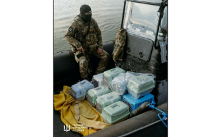 Розвідники провели нетипову евакуацію з острова Зміїний — врятували 15 котиків на «велику землю»