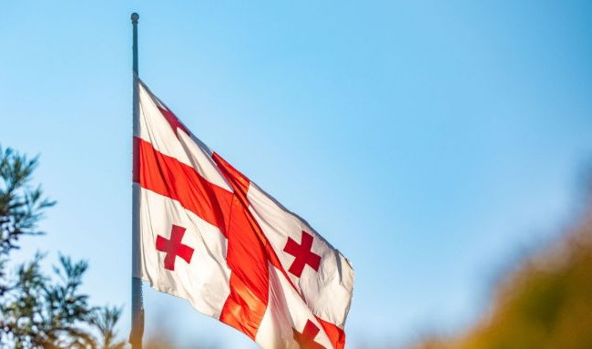 Десятки работников МИД Грузии осудили приостановку интеграции страны в ЕС