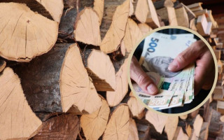Кто имеет право получить субсидию на приобретение твердого топлива – ответ ПФ