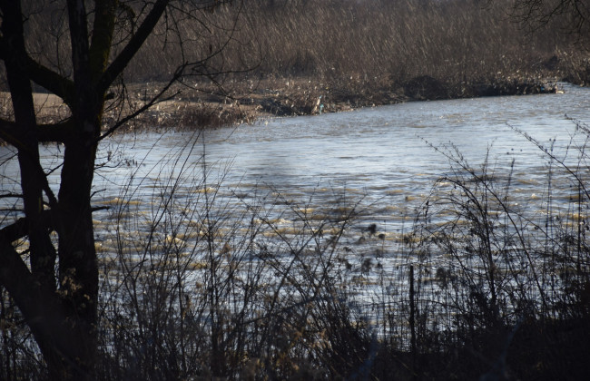 На Закарпатье задержали двух «марафонцев», которые бежали в сторону Тисы, чтобы незаконно попасть в Румынию