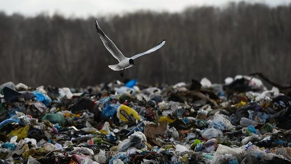 Одеса на межі екологічної катастрофи через сміттєвий полігон, який нікому «не пахне»