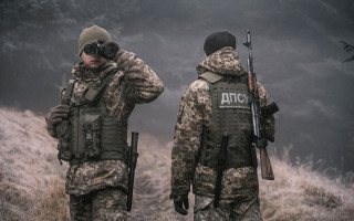 Лисиці, фазани та кабани – відео диких «моделей» на кордоні з Молдовою