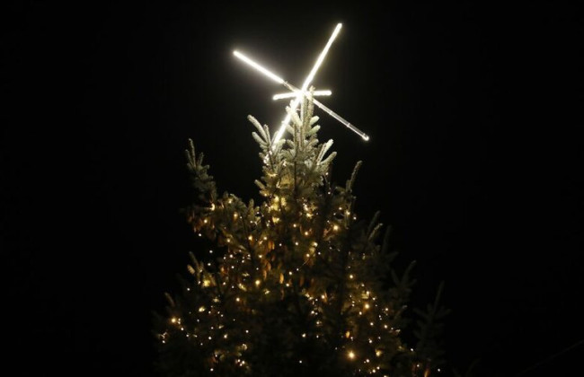 На центральній площі Львова встановлять 16-метрову ялинку – коли її засвітять