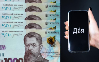 Після Нацвідбору провели роботу над помилкам – Дія витримала навантаження від охочих отримати 1000 грн