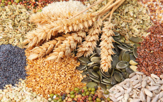 Змінилися правила експорту сільськогосподарської продукції — що слід знати про новий режим