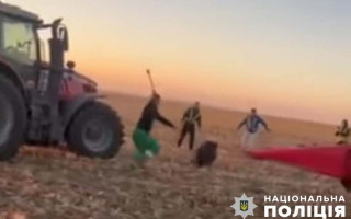 В Офісі Генпрокурора відреагували на відео зі знущанням з диких кабанів на Тернопільщині