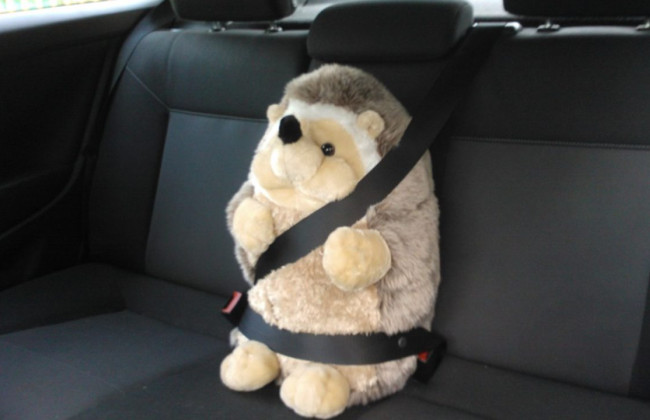 С начала года сумма штрафов за непристегнутый ремень безопасности составляет более 91 млн гривен