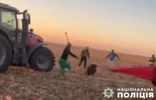 В Офісі Генпрокурора відреагували на відео зі знущанням з диких кабанів на Тернопільщині