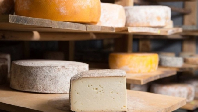 В Житомирской области предприятие незаконно получило более 3,5 млн грн от ЕС на открытие сыроварни