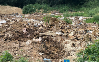 На Полтавщині півтора гектари земель засмітили тваринними відходами — судитимуть керівника одного з підприємств