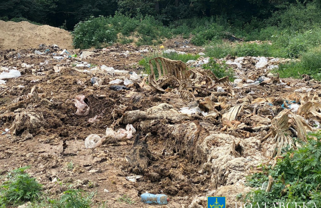На Полтавщині півтора гектари земель засмітили тваринними відходами — судитимуть керівника одного з підприємств