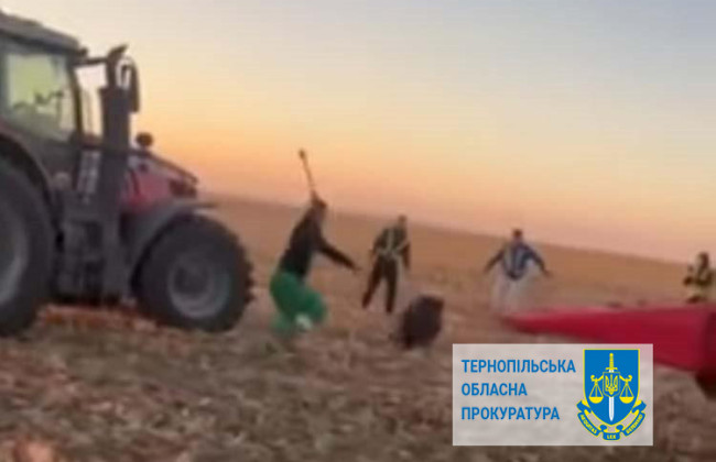 Бросали ножи и пытались переехать трактором — в Тернопольской области люди издевались над дикими животными