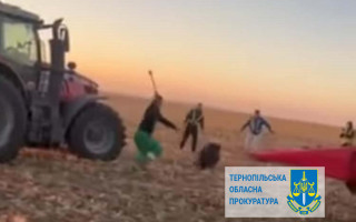 Кидали ножі та намагалися переїхати трактором — на Тернопільщині особи знущалися над дикими тваринами